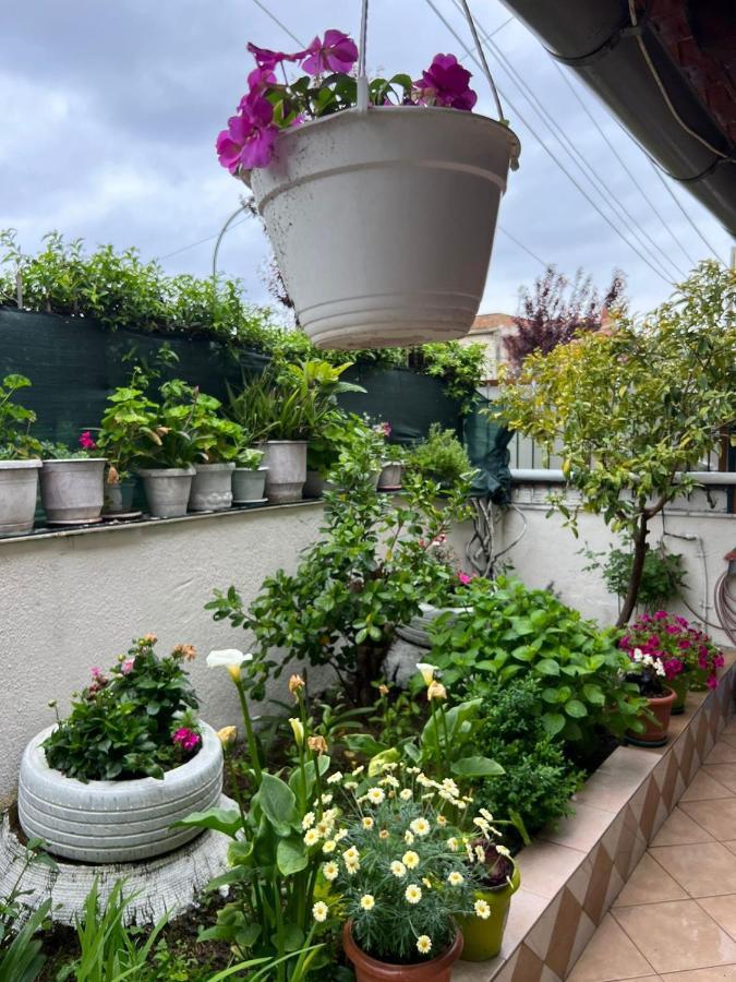 Goni Guest House Σαράντα Εξωτερικό φωτογραφία